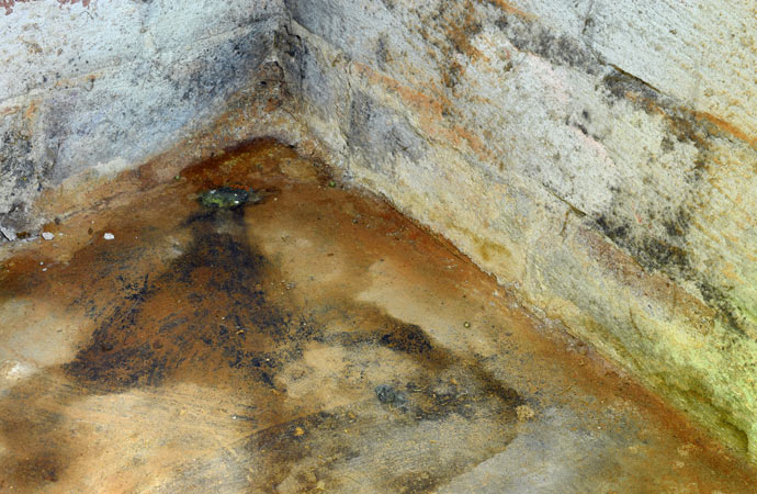 Mold in crawl space